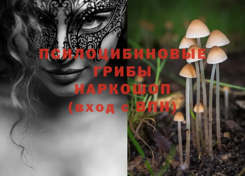 Галлюциногенные грибы MAGIC MUSHROOMS  Байкальск 